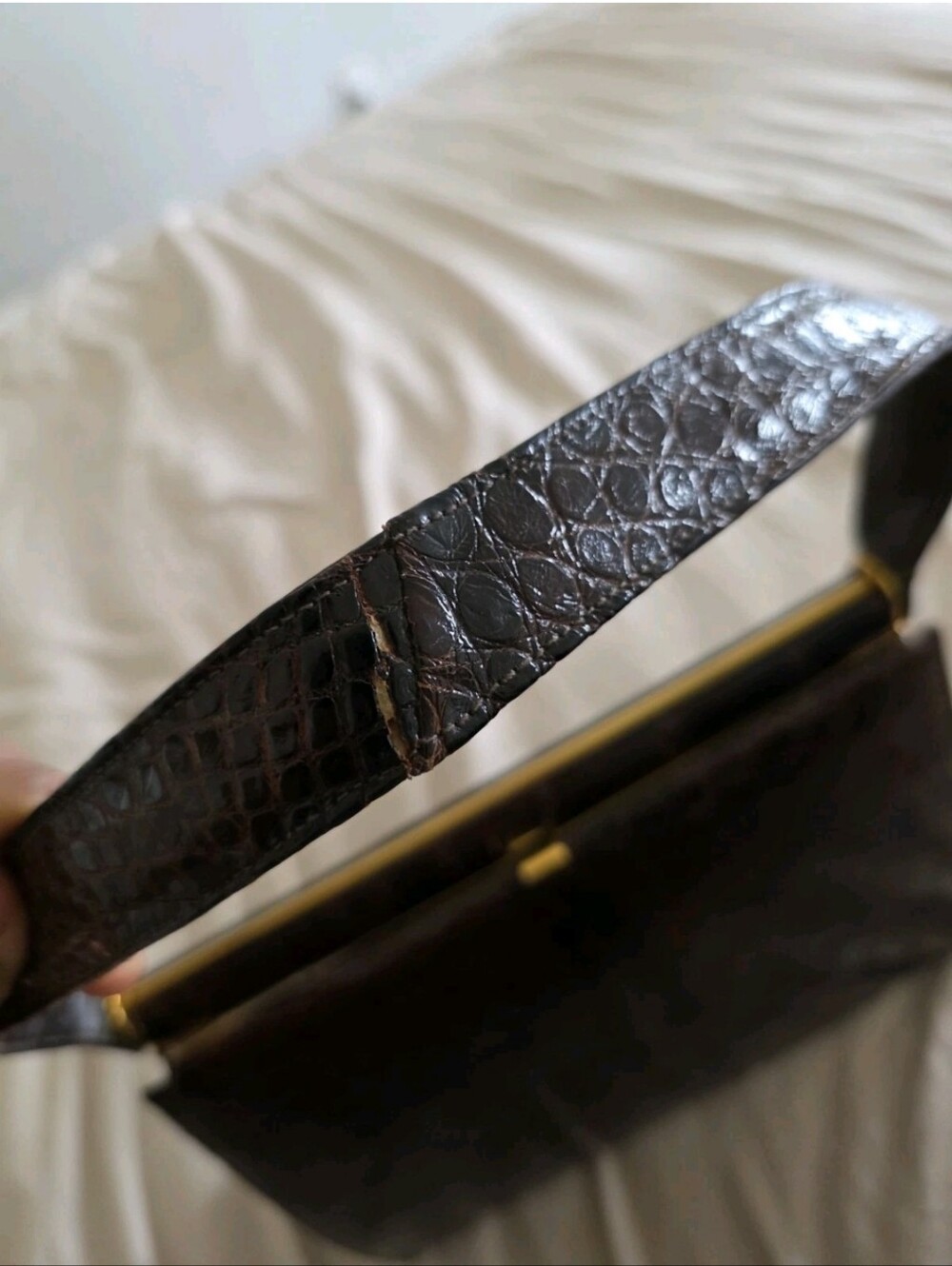 Vintage Alligator Bag - Picture 9 of 14